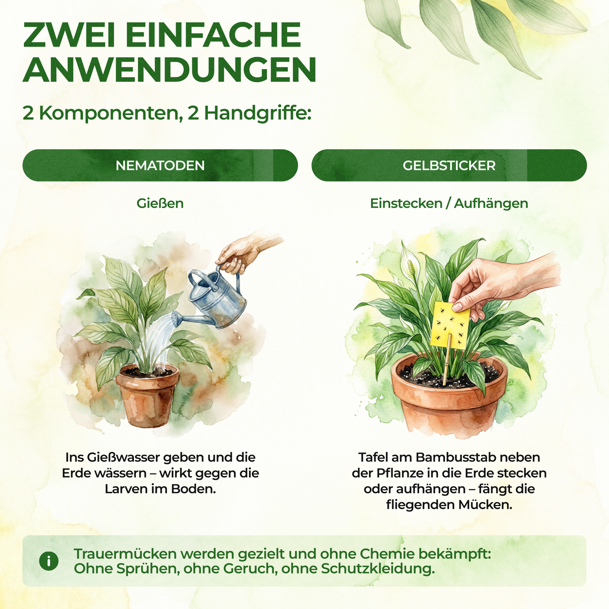 Fungus Gnat-Free Set