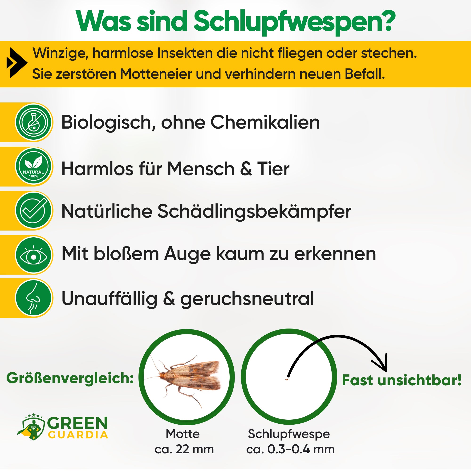 Schlupfwespen gegen Kleidermotten