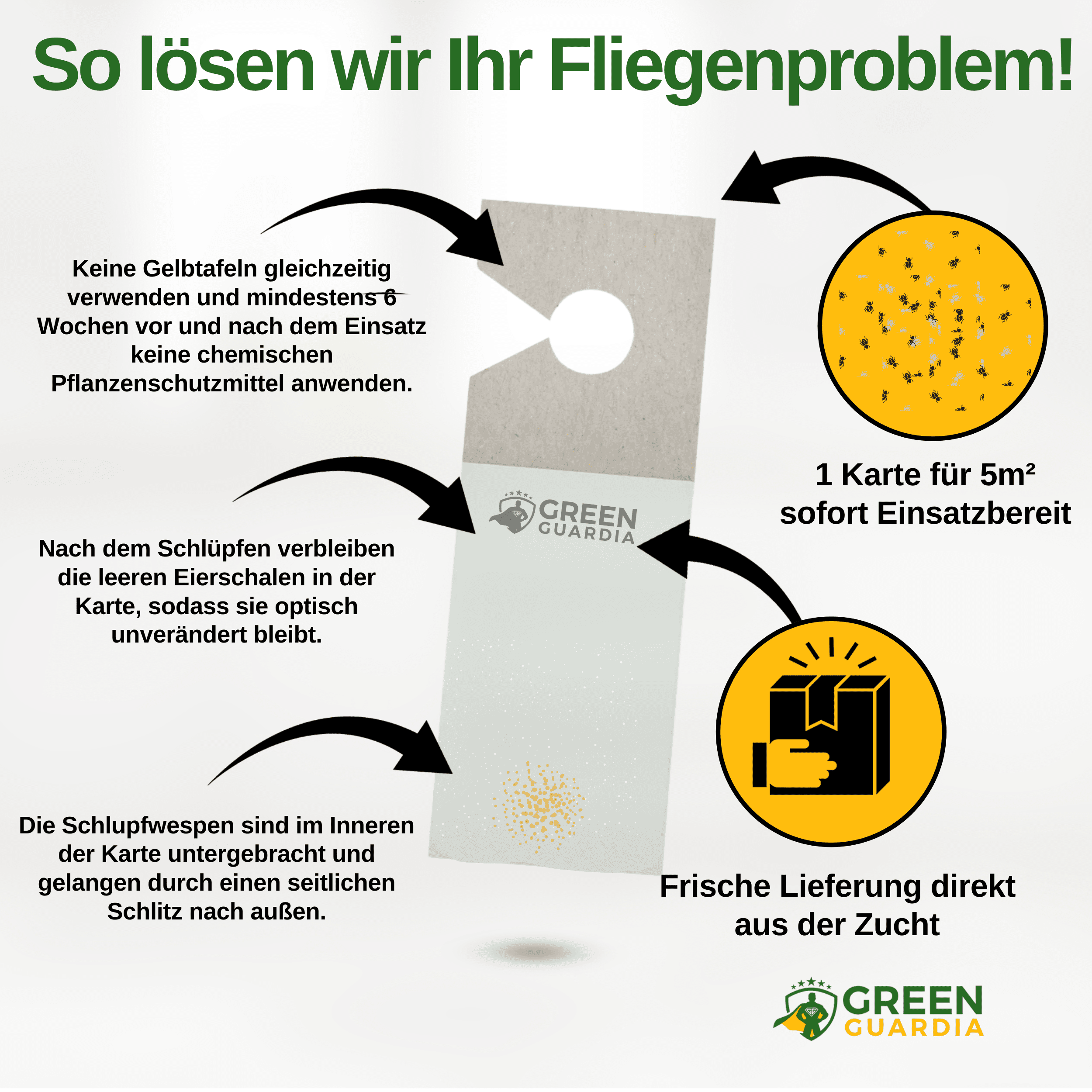 Encarsia - Schlupfwespen gegen Weiße Fliegen - Green Guardia - Ihr Experte für Schädlinge und Pflanzen