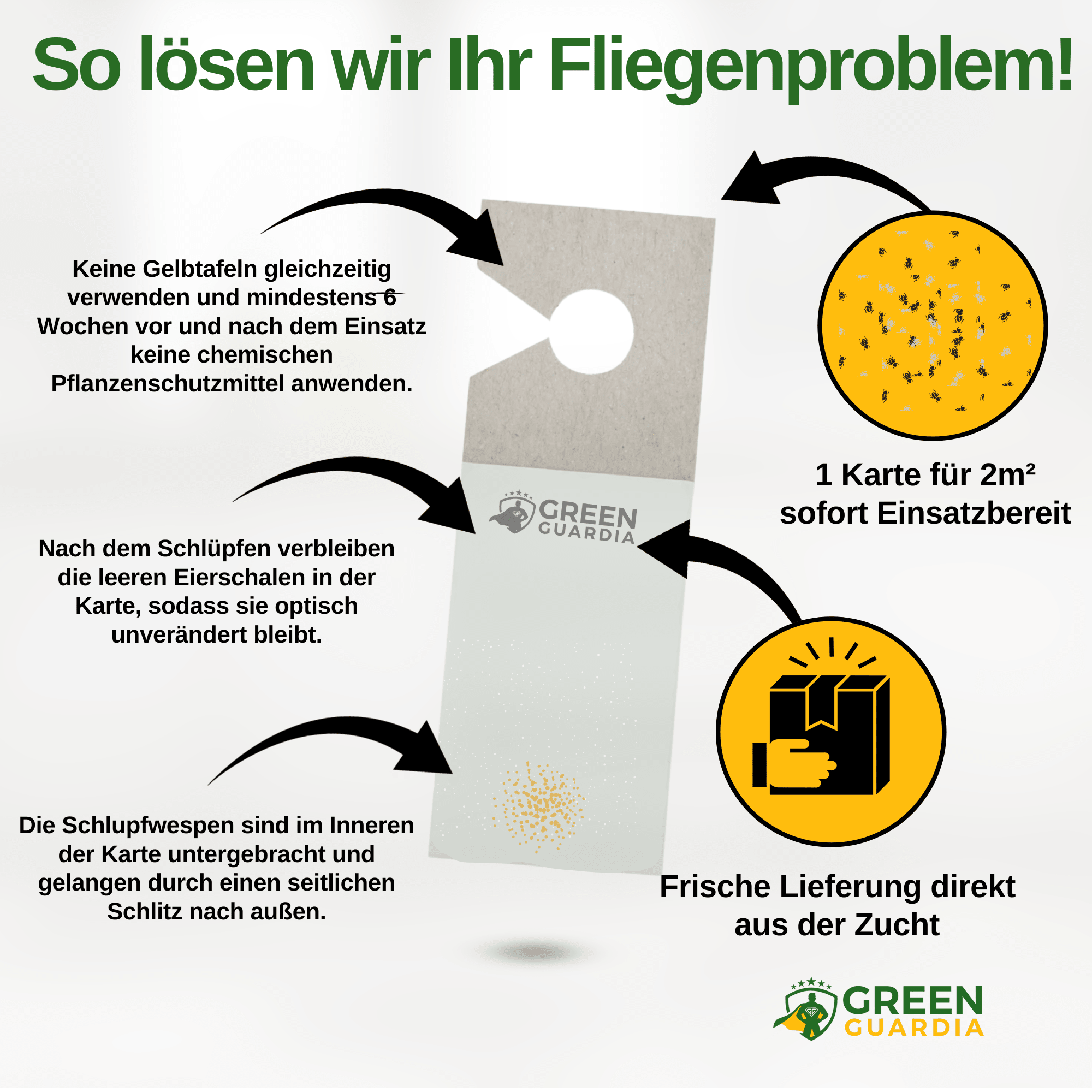 Eretmocerus - Schlupfwespen gegen Weiße - & Tabak Fliegen - Green Guardia - Ihr Experte für Schädlinge und Pflanzen