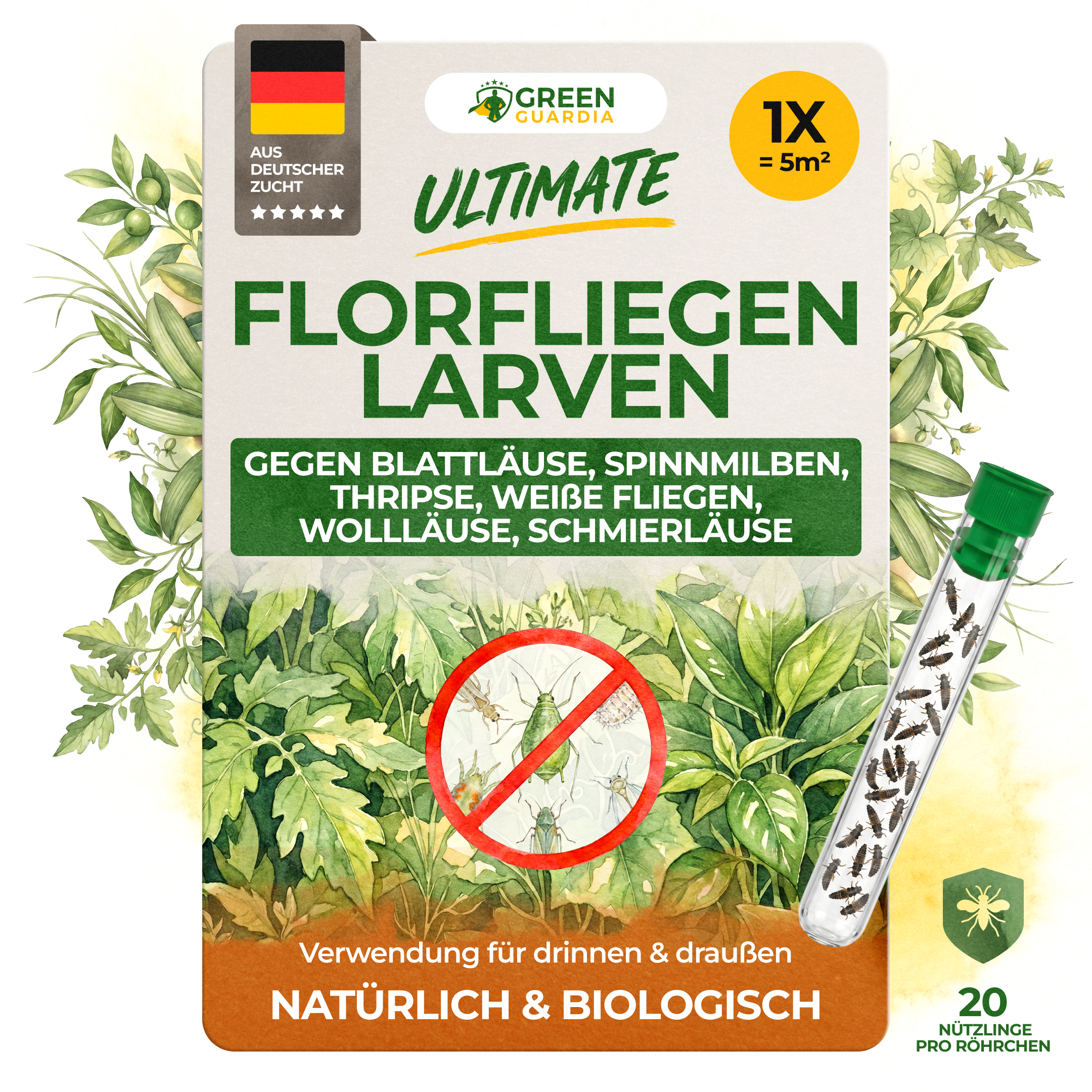 Grüne Florfliegenlarven gegen Blattläuse, Thripse, Spinnmilben und Co.