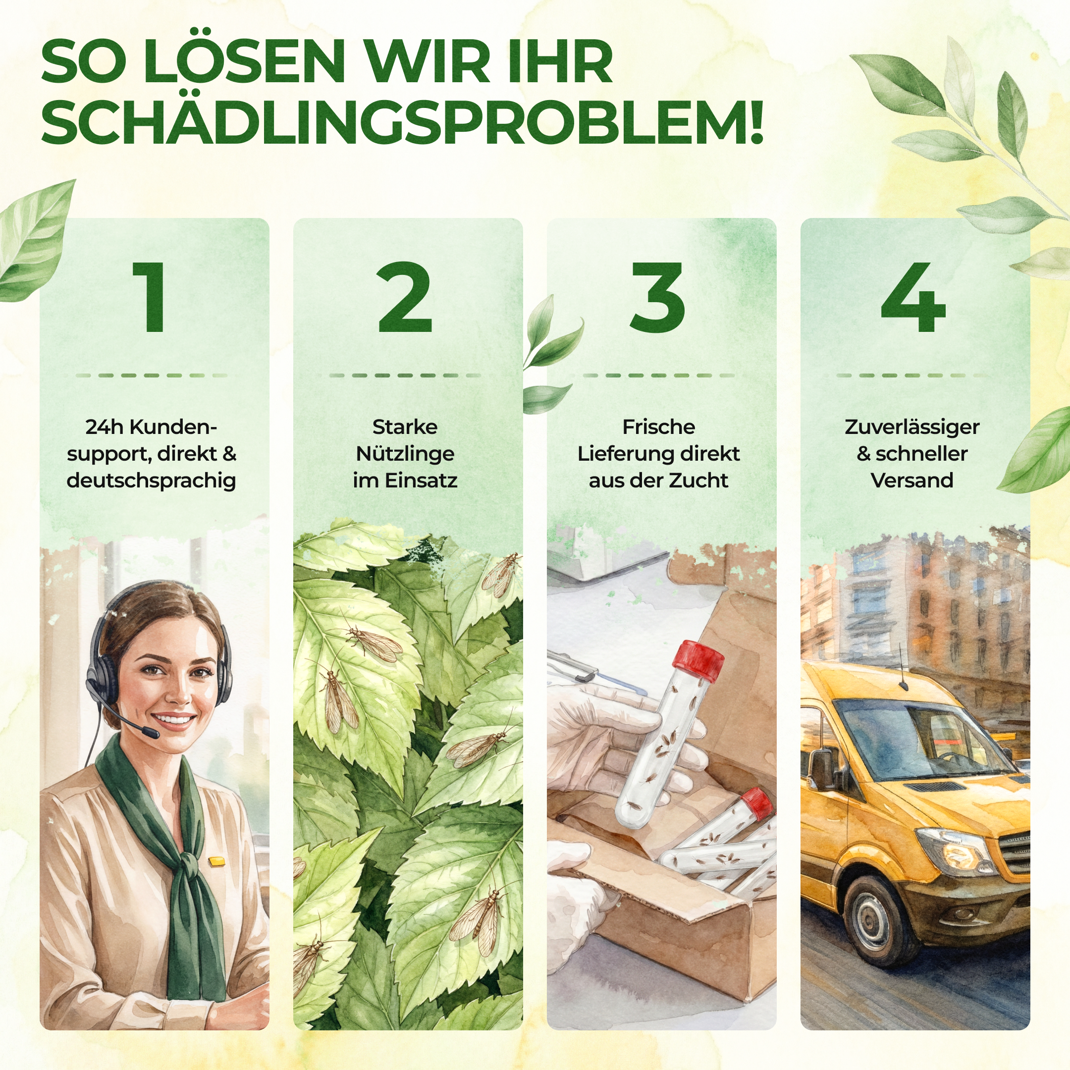 Grüne Florfliegenlarven gegen Blattläuse, Thripse, Spinnmilben und Co.