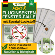 Fluginsekten Fenster-Falle