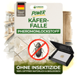Beetle trap