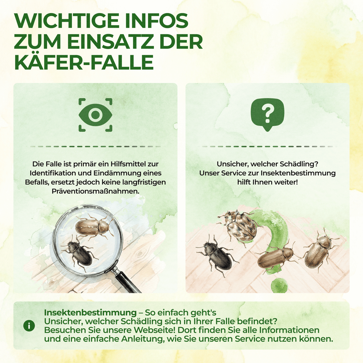 Käfer Falle - Green Guardia - Ihr Experte für Schädlinge und Pflanzen