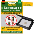 Käfer Falle