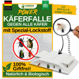 Käfer Falle