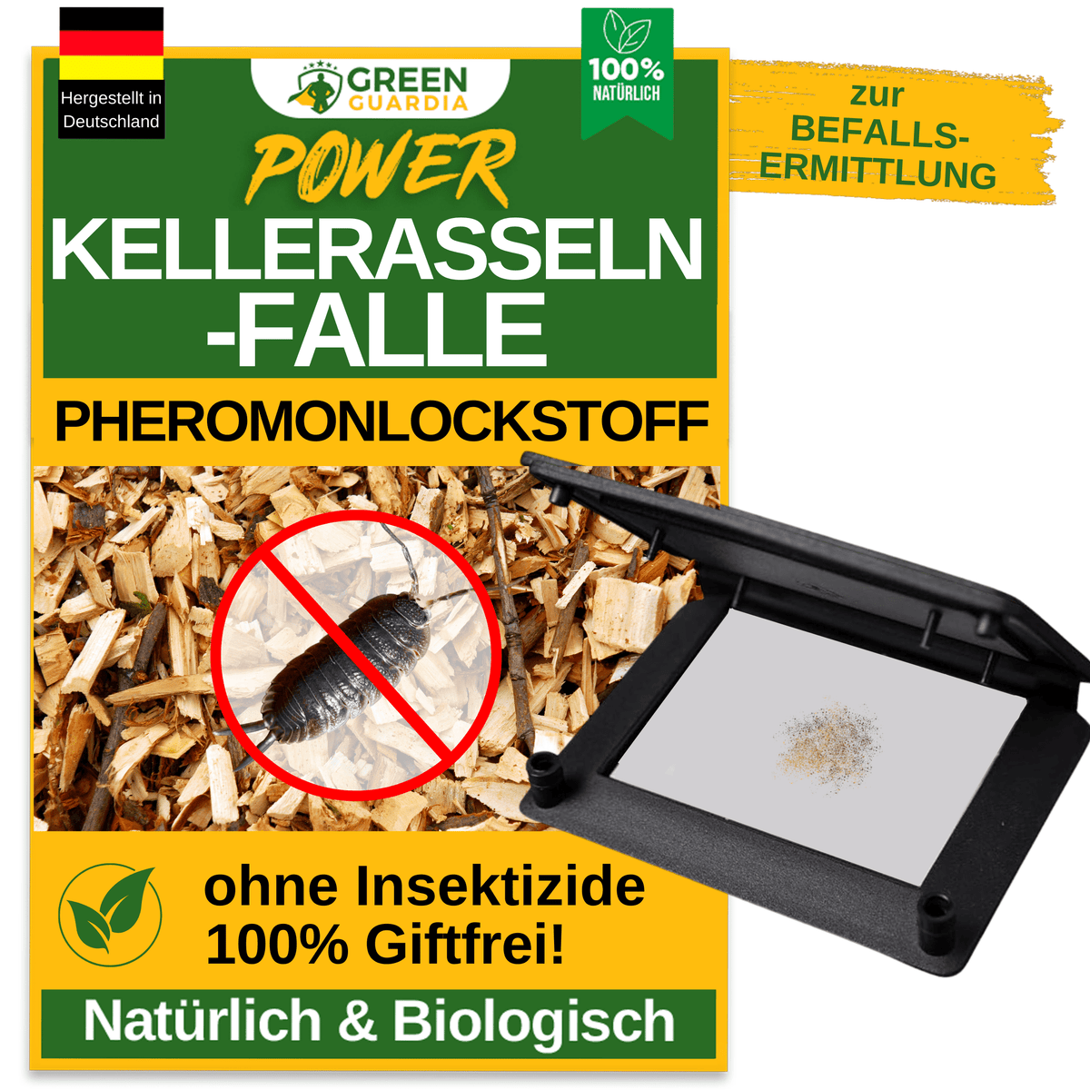 Kellerasseln Falle