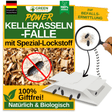 Kellerasseln Falle