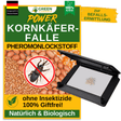 Kornkäfer Falle