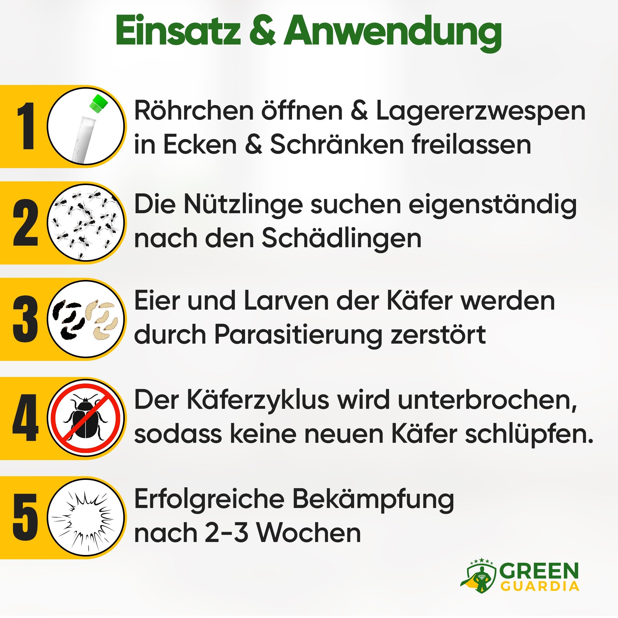 Lagererzwespen gegen Brotkäfer, Reiskäfer & Co. - Green Guardia - Ihr Experte für Schädlinge und Pflanzen