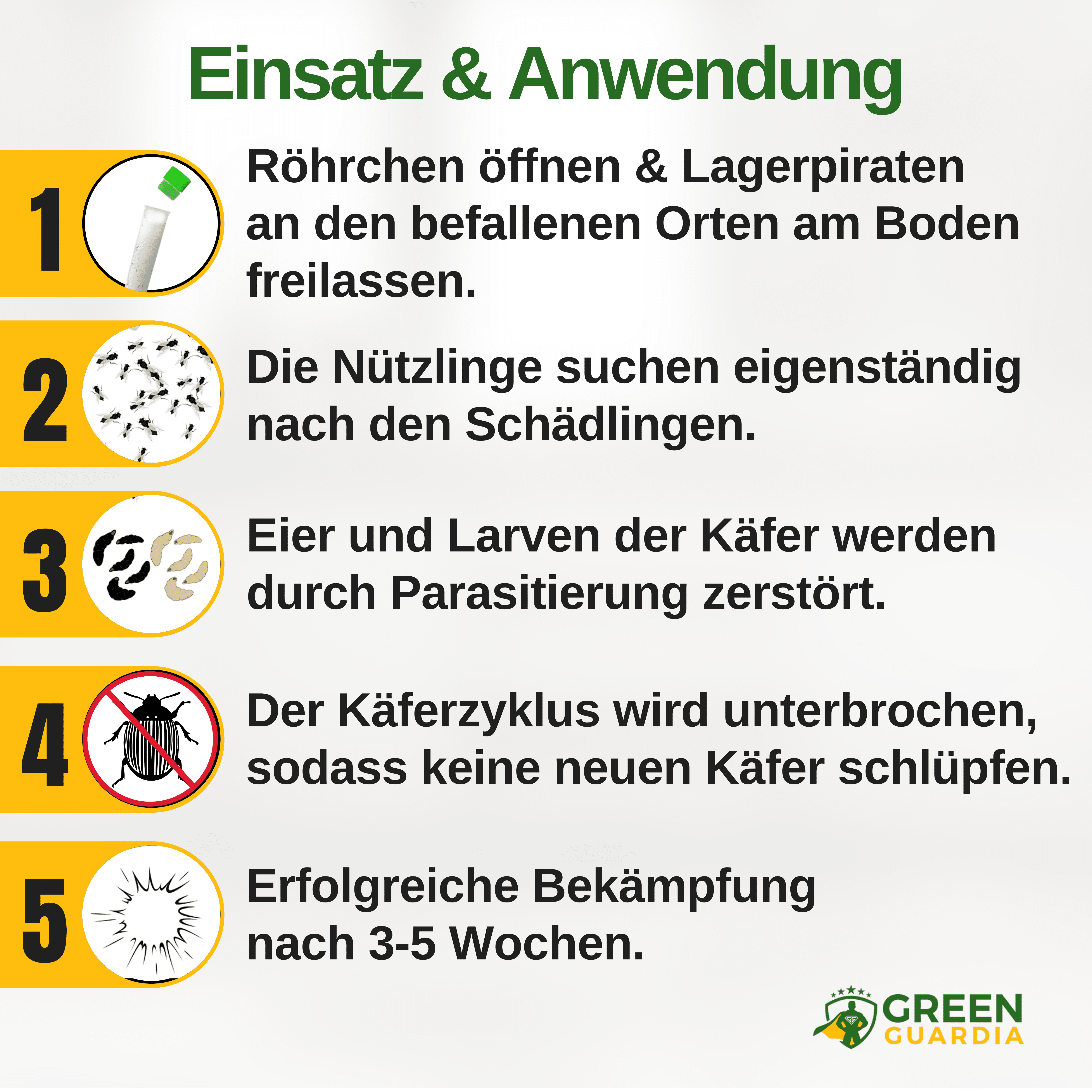 Lagerpiraten gegen Speckkäfer, Reismehl - /, Pelz - / & Teppichkäfer - Green Guardia - Ihr Experte für Schädlinge und Pflanzen