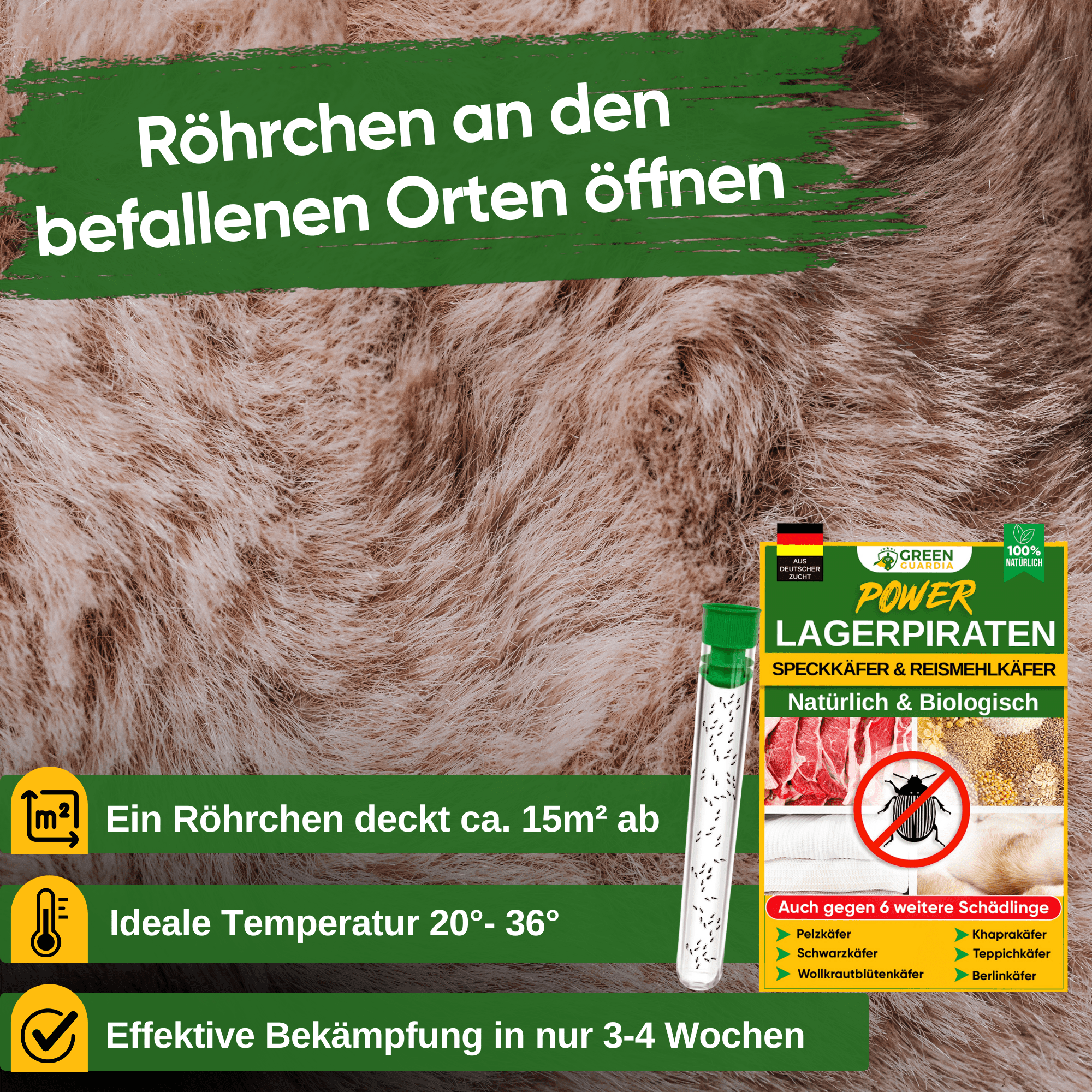 Lagerpiraten gegen Speckkäfer, Reismehl - /, Pelz - / & Teppichkäfer - Green Guardia - Ihr Experte für Schädlinge und Pflanzen