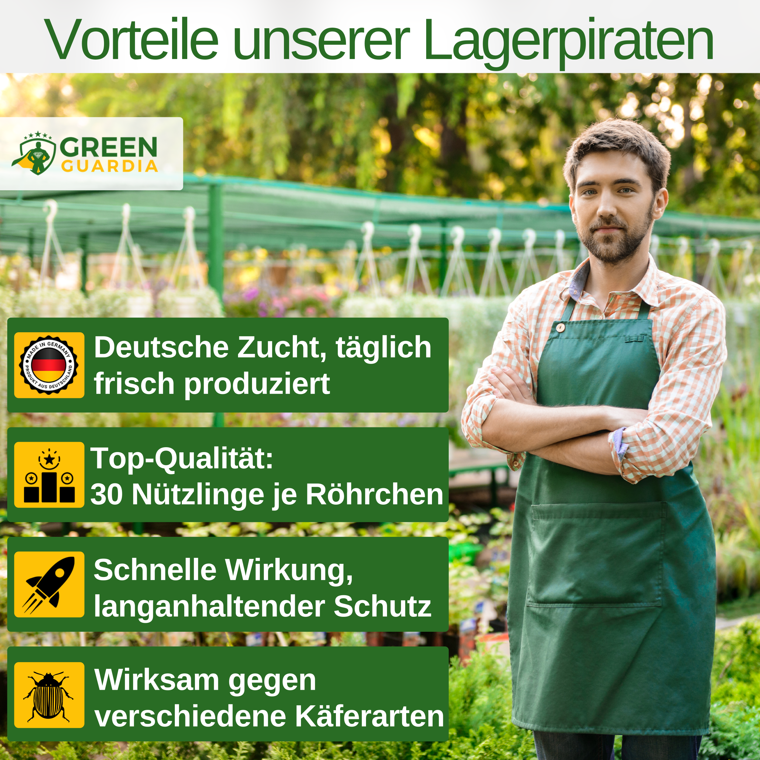 Lagerpiraten gegen Speckkäfer, Reismehl - /, Pelz - / & Teppichkäfer - Green Guardia - Ihr Experte für Schädlinge und Pflanzen