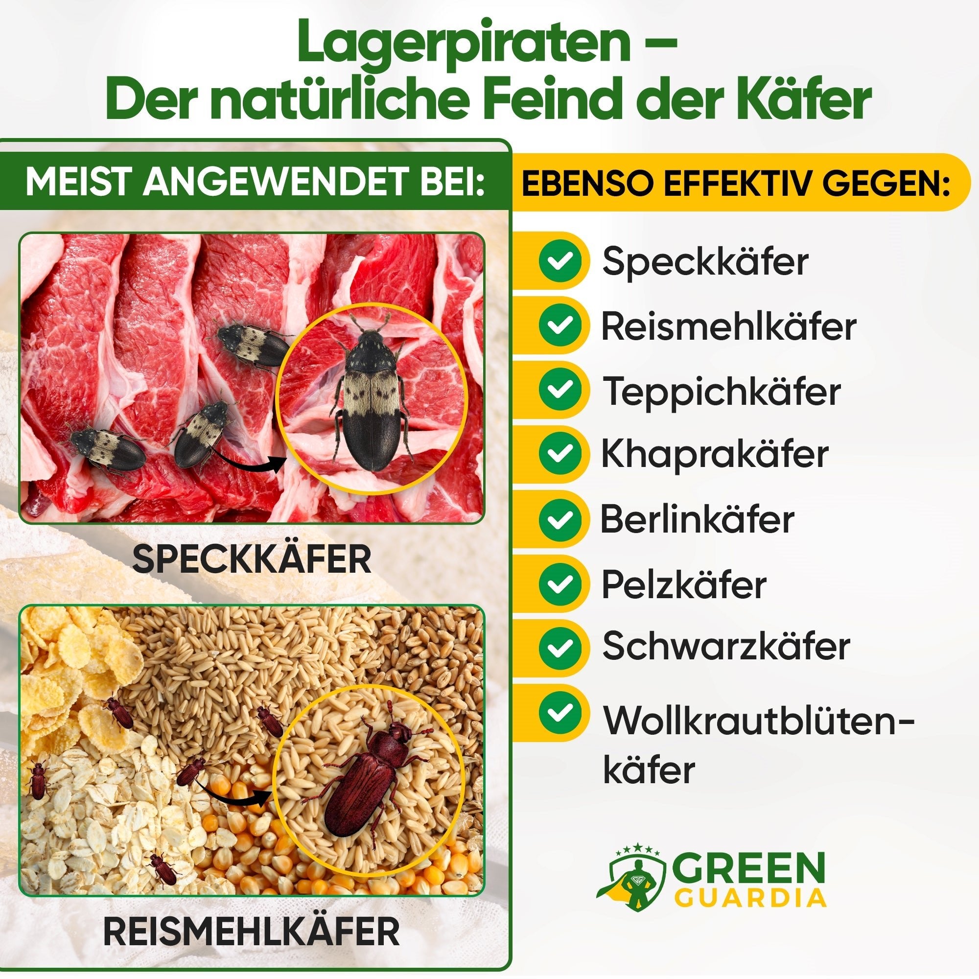 Lagerpiraten gegen Speckkäfer, Reismehl - /, Pelz - / & Teppichkäfer - Green Guardia - Ihr Experte für Schädlinge und Pflanzen