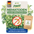 Nematoden gegen Drahtwürmer
