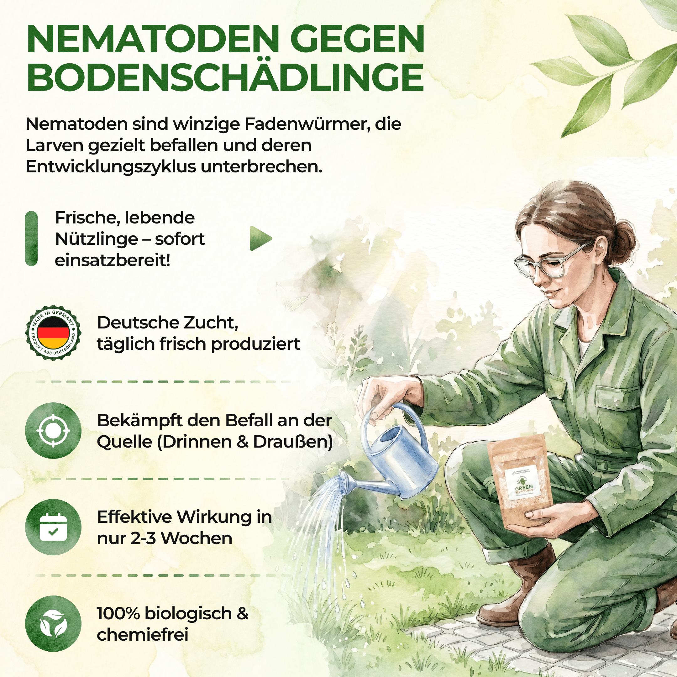 Nematoden gegen Feigen-Spreizflügelfalter - Green Guardia - Ihr Experte für Schädlinge und Pflanzen