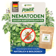 Nematoden gegen Kartoffelkäfer