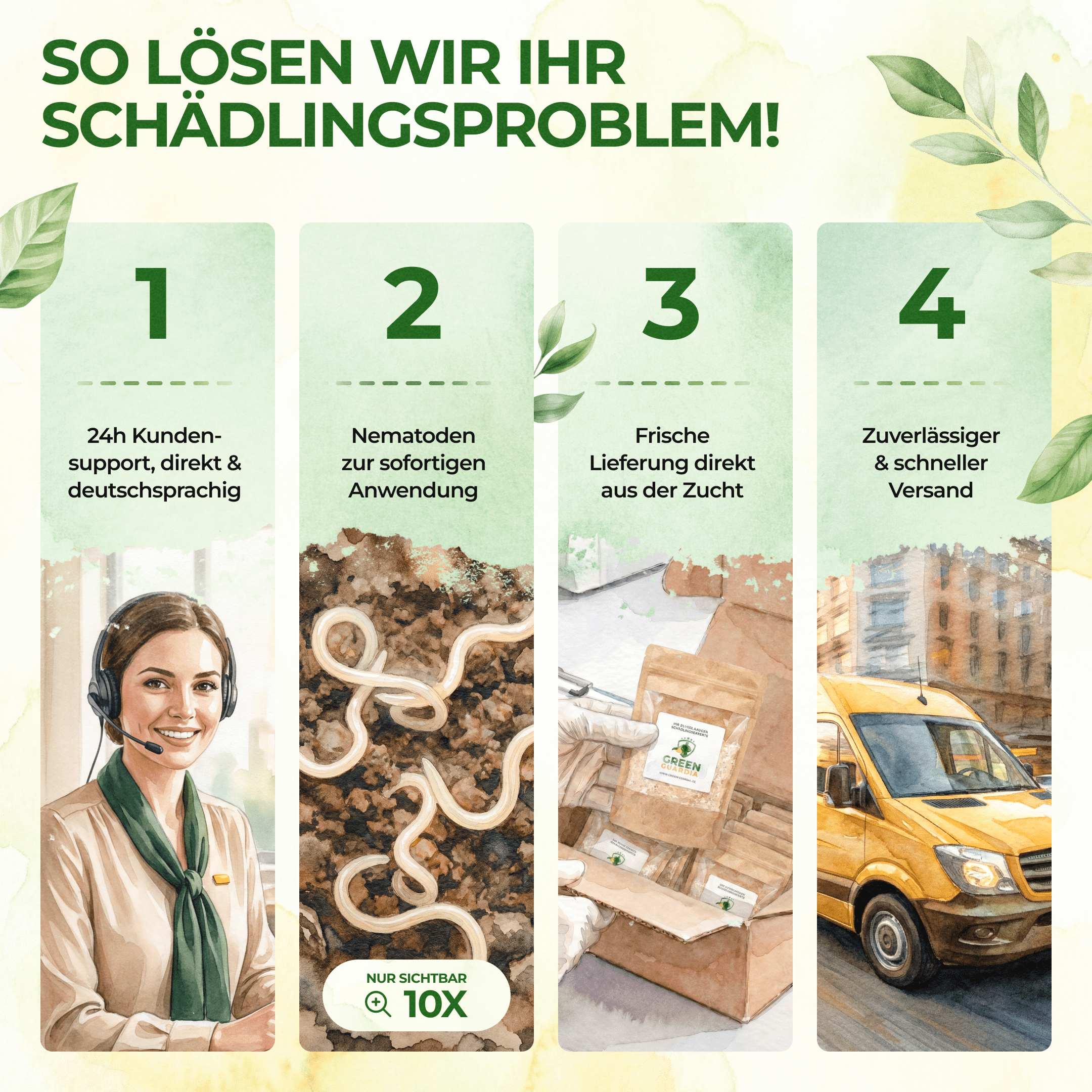 Nematoden gegen Kirschfruchtfliegen - Green Guardia - Ihr Experte für Schädlinge und Pflanzen