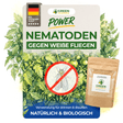 Nematoden gegen Weiße Fliegen