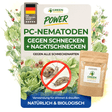 PC-Nematoden gegen Schnecken & Nacktschnecken