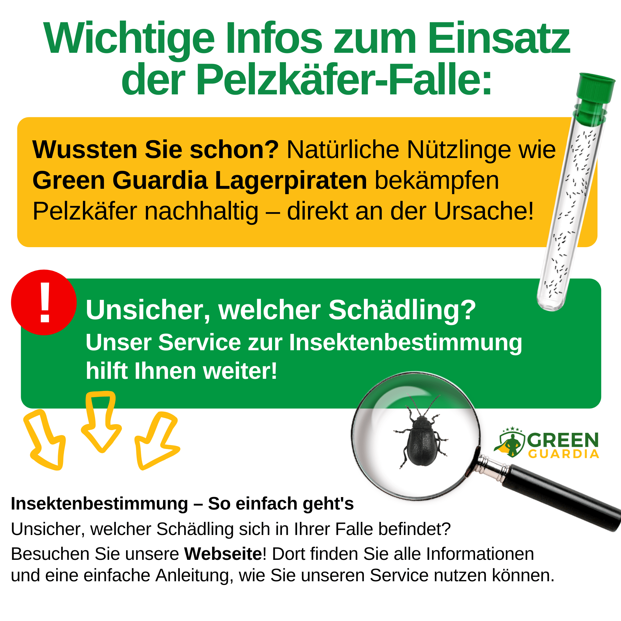 Pelzkäfer Falle - Green Guardia - Ihr Experte für Schädlinge und Pflanzen