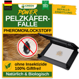 Pelzkäfer Falle