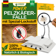 Pelzkäfer Falle