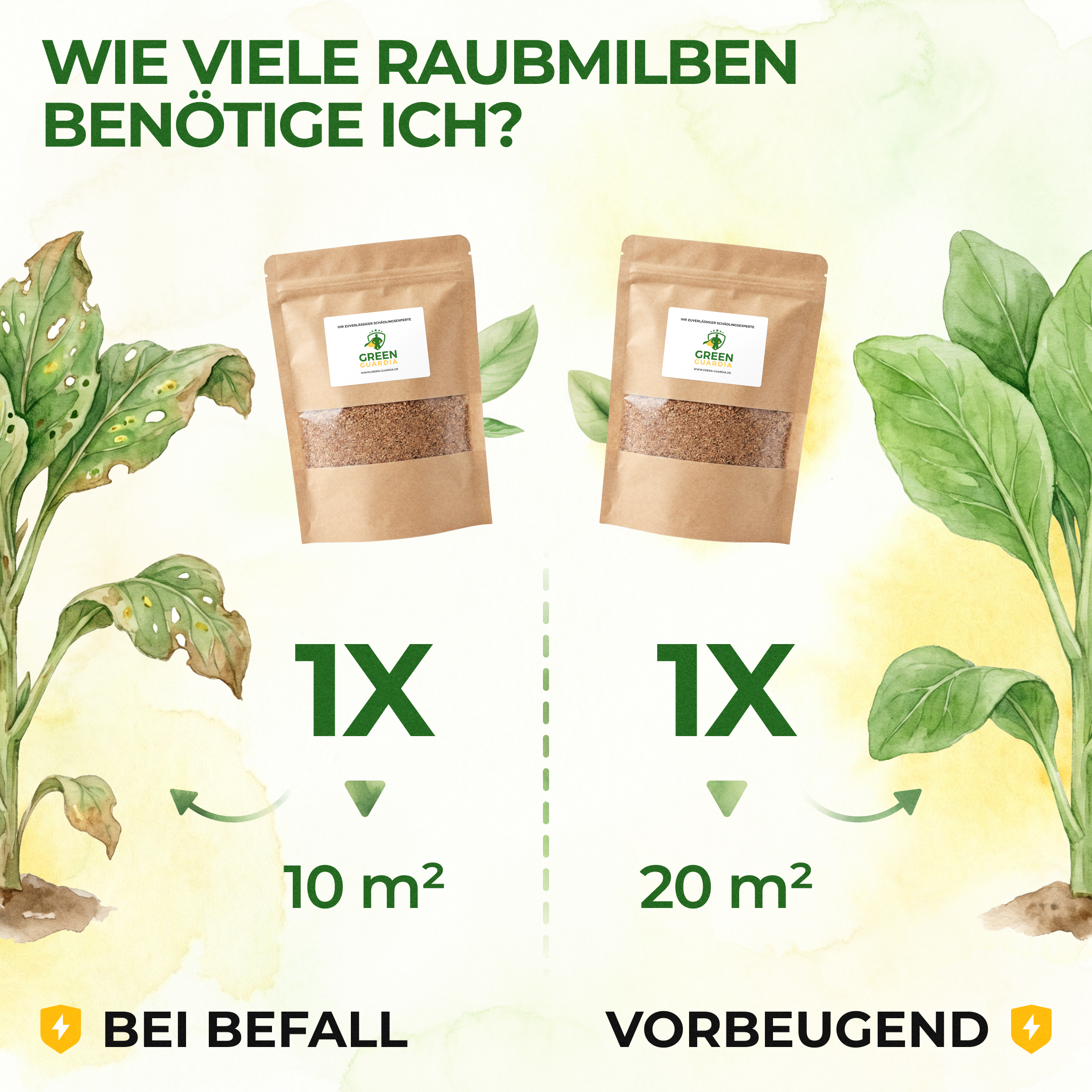 Raubmilben gegen Spinnmilben