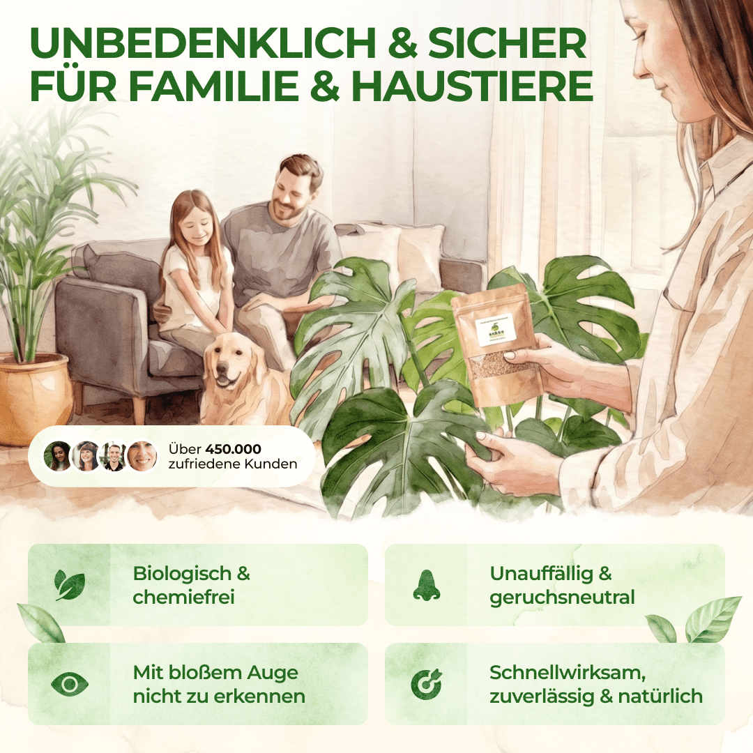 Raubmilben gegen Spinnmilben - Green Guardia - Ihr Experte für Schädlinge und Pflanzen