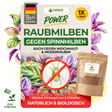Raubmilben gegen Spinnmilben