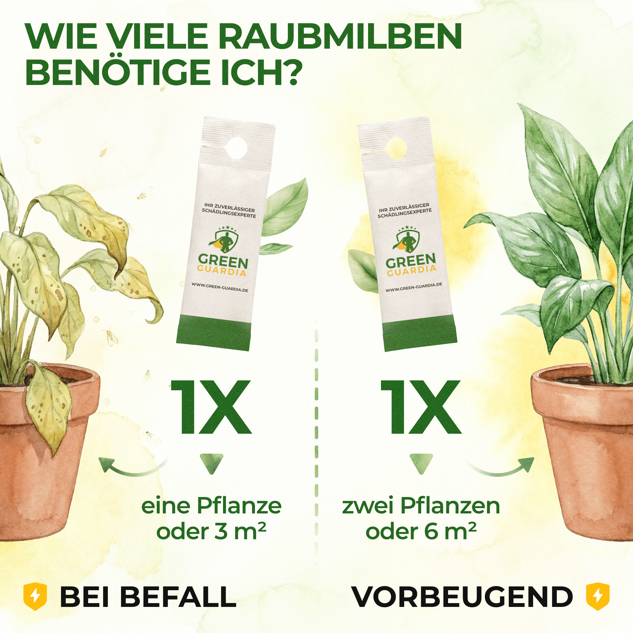 Raubmilben gegen Thripse - Green Guardia - Ihr Experte für Schädlinge und Pflanzen