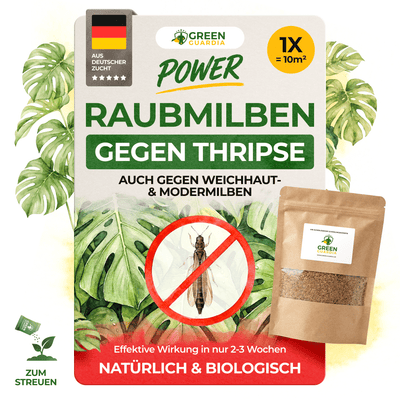 Raubmilben gegen Thripse - Green Guardia - Ihr Experte für Schädlinge und Pflanzen