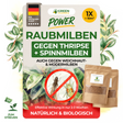 Raubmilben Mix gegen Thripse & Spinnmilben