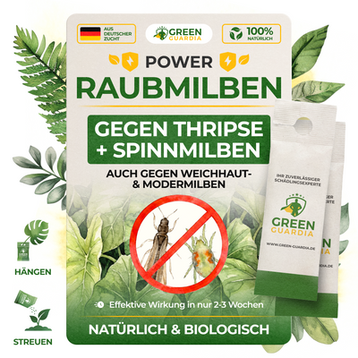 Raubmilben Mix gegen Thripse & Spinnmilben