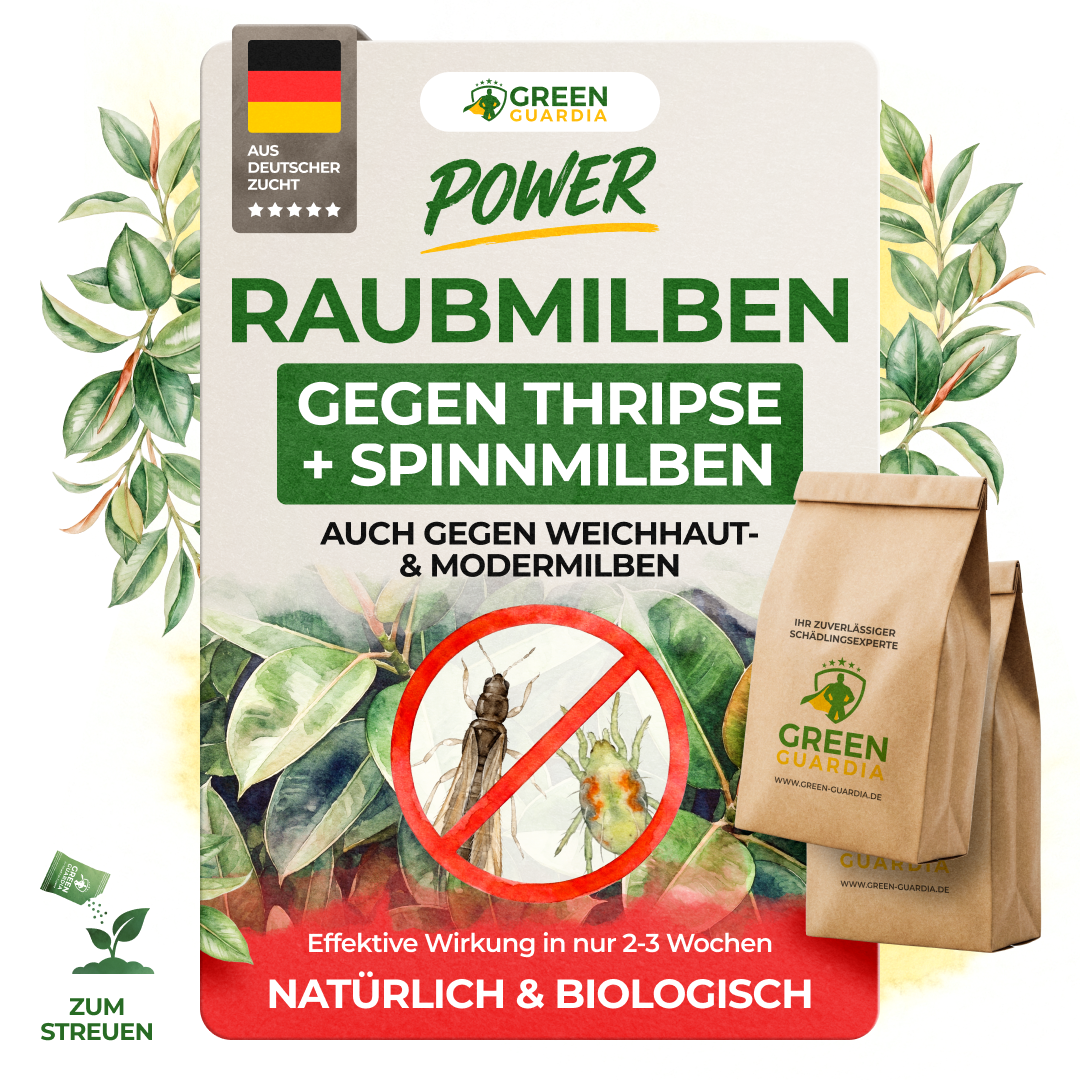 Raubmilben Mix gegen Thripse & Spinnmilben