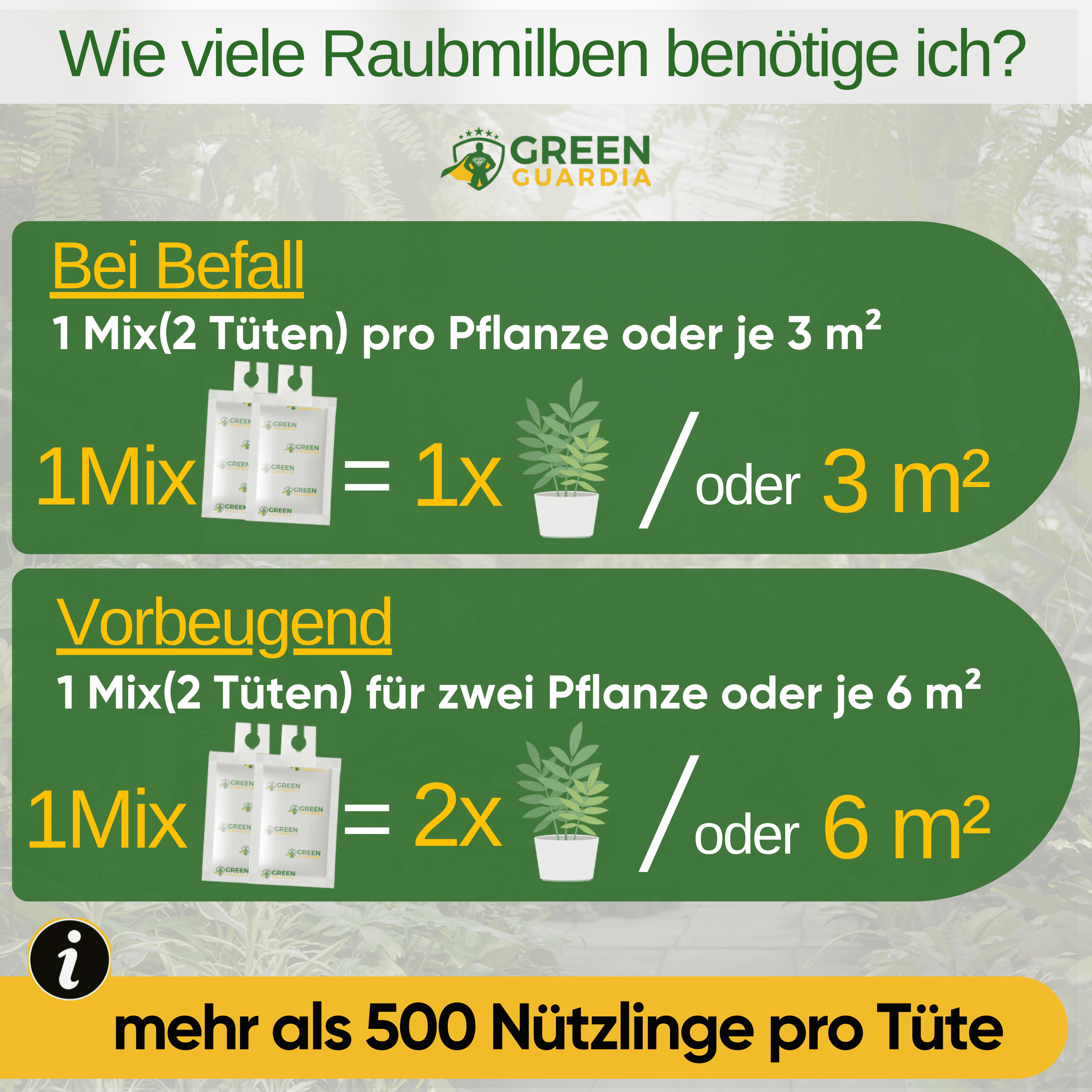 Raubmilben Mix gegen Thripse & Spinnmilben zum Aufhängen oder Streuen - Green Guardia - Ihr Experte für Schädlinge und Pflanzen