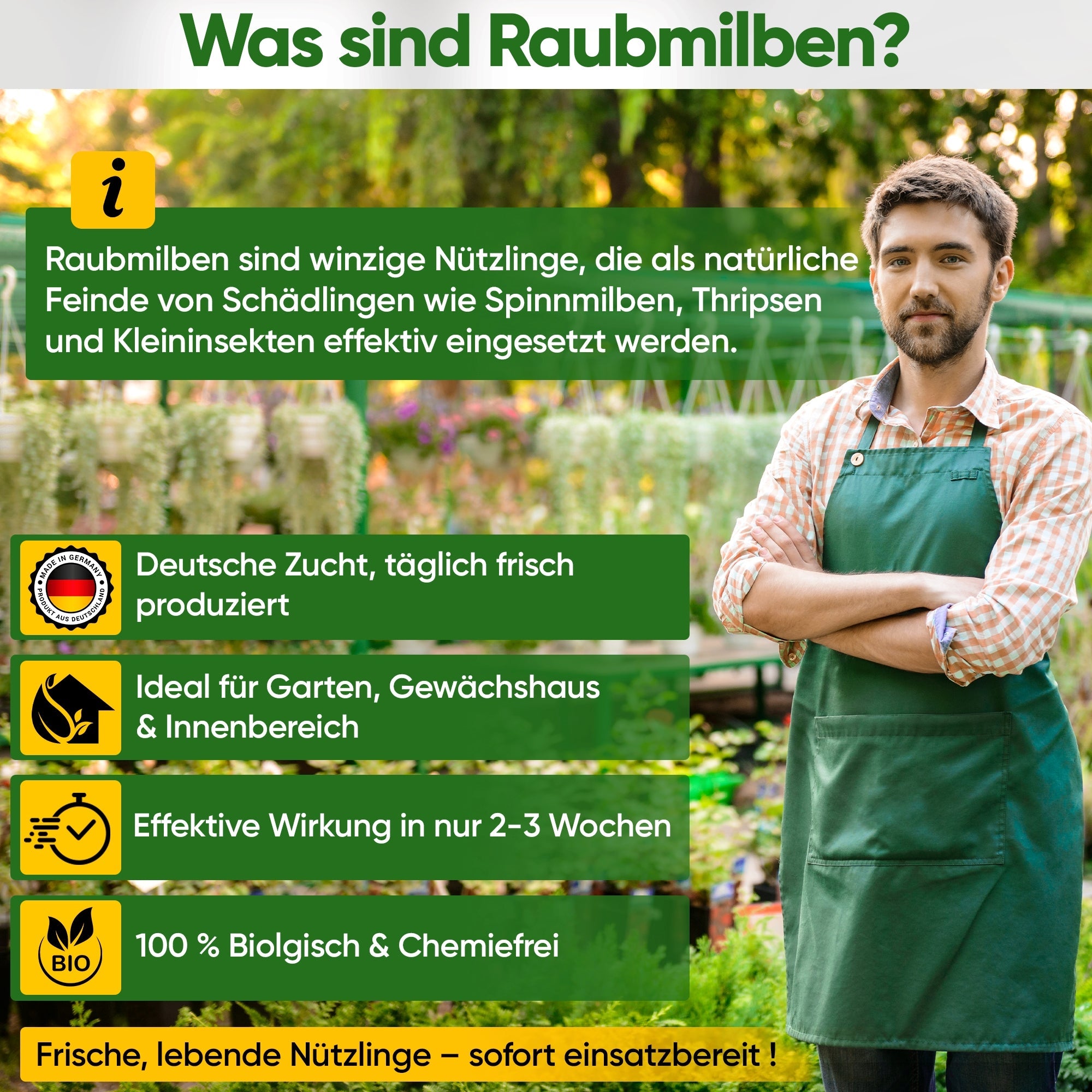 Raubmilben Mix gegen Thripse & Spinnmilben zum Aufhängen oder Streuen - Green Guardia - Ihr Experte für Schädlinge und Pflanzen