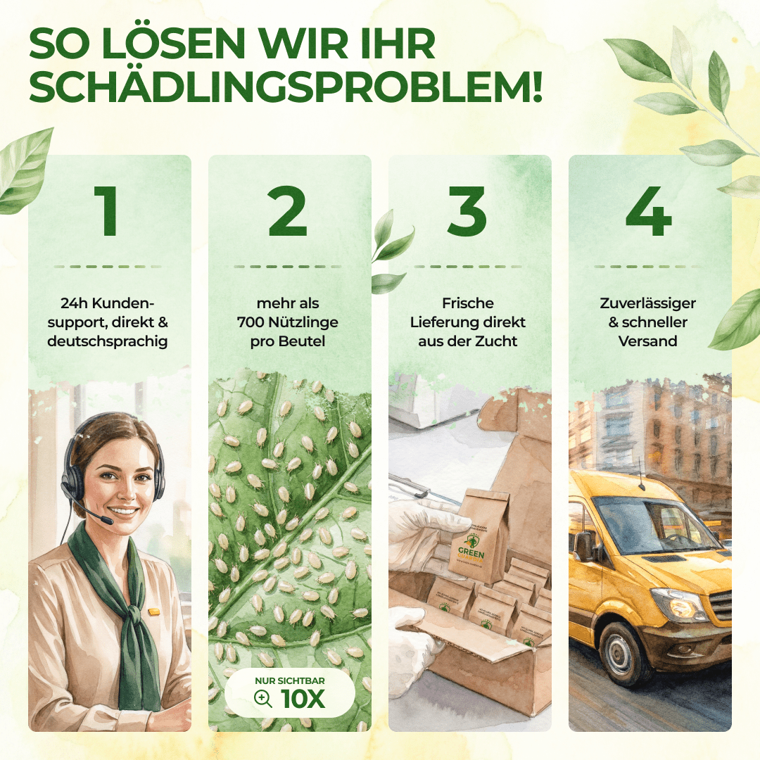Raubmilben Mix gegen Trauermücken & Rote Vogelmilben - Green Guardia - Ihr Experte für Schädlinge und Pflanzen