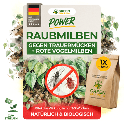 Raubmilben Mix gegen Trauermücken & Rote Vogelmilben - Green Guardia - Ihr Experte für Schädlinge und Pflanzen