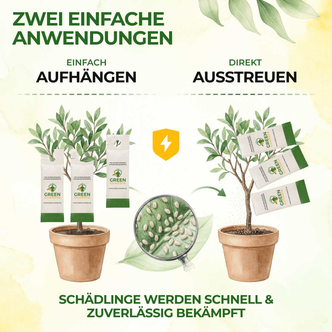 Raubmilben Trio gegen Thripse, Spinnmilben & Weiße Fliegen - Green Guardia - Ihr Experte für Schädlinge und Pflanzen