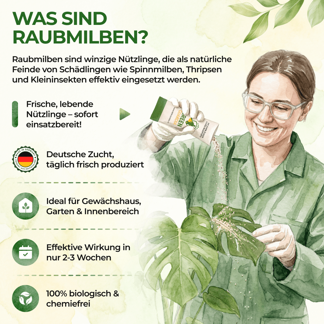 Raubmilben Trio gegen Thripse, Spinnmilben & Weiße Fliegen - Green Guardia - Ihr Experte für Schädlinge und Pflanzen
