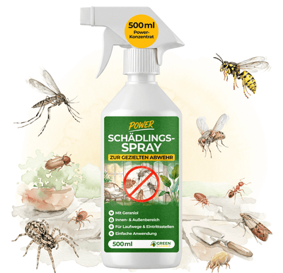 Schädlings-Abwehrspray Power-Konzentrat - 500ml - Green Guardia - Ihr Experte für Schädlinge und Pflanzen