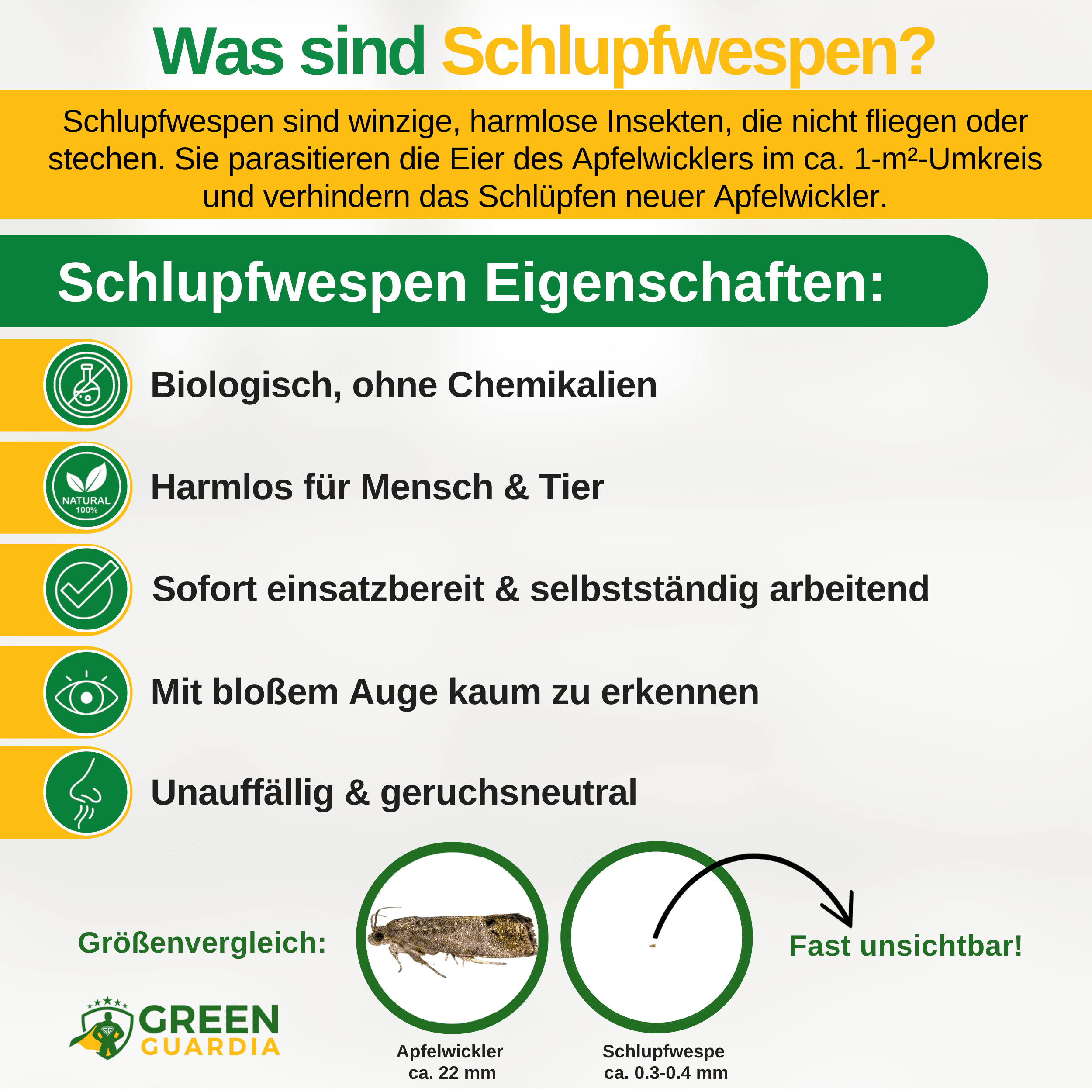 Schlupfwespen gegen Apfelwickler - Green Guardia - Ihr Experte für Schädlinge und Pflanzen