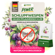 Schlupfwespen gegen Pflaumenwickler