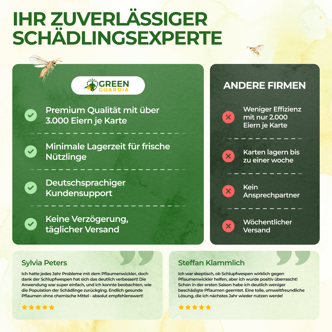 Schlupfwespen gegen Pflaumenwickler - Green Guardia - Ihr Experte für Schädlinge und Pflanzen