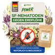 SF-Nematoden gegen Erdflöhe