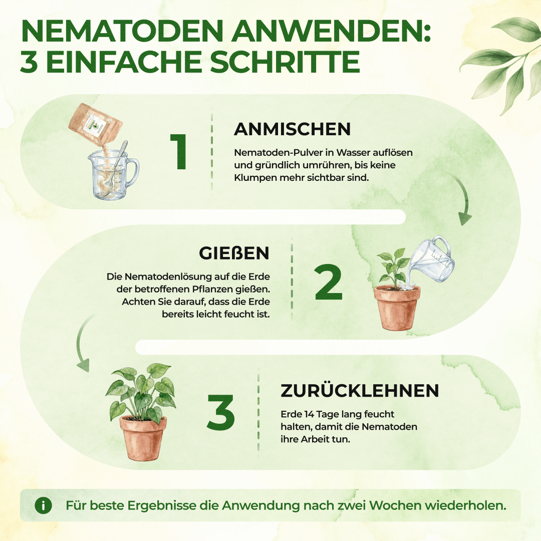 SF - Nematoden gegen Trauermücken - Green Guardia - Ihr Experte für Schädlinge und Pflanzen