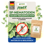 SF - Nematoden gegen Trauermücken - Green Guardia - Ihr Experte für Schädlinge und Pflanzen