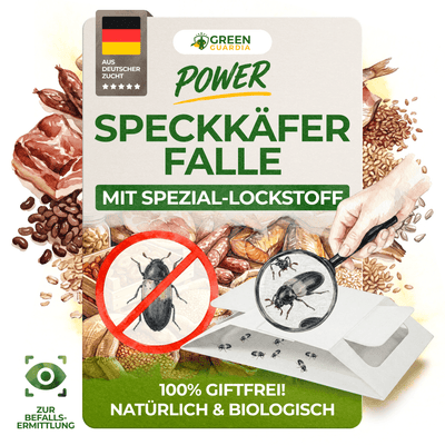 Speckkäfer Falle - Green Guardia - Ihr Experte für Schädlinge und Pflanzen
